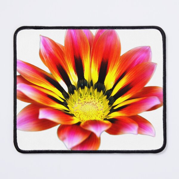 Item preview, Painted Lady too designed and sold by Kerry LeBoutillier.