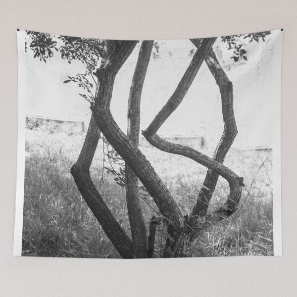 Item preview, tree with twisted branches in black and white designed and sold by felipequeiroz.