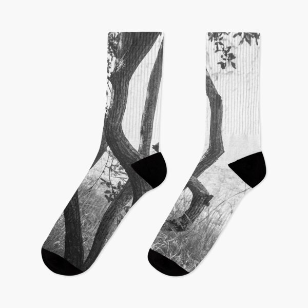 Item preview, tree with twisted branches in black and white designed and sold by felipequeiroz.
