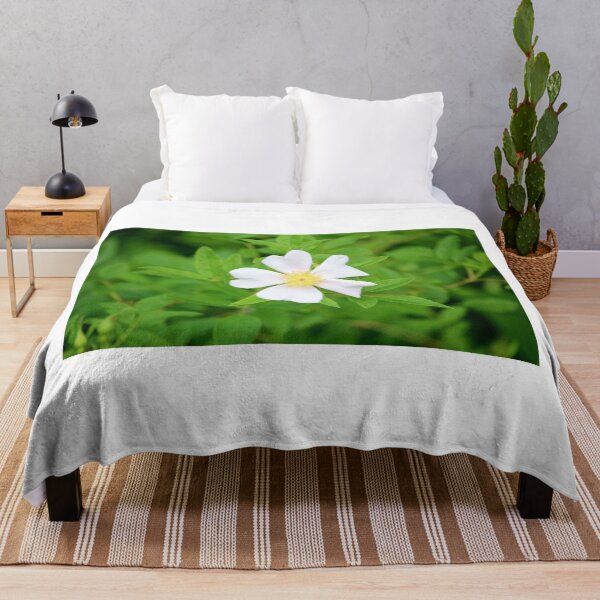 Item preview, Dog Rose designed and sold by Cynthia48.