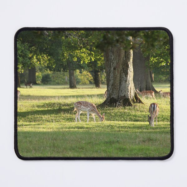 Item preview, Where she is you may go and look designed and sold by Murph's Images.