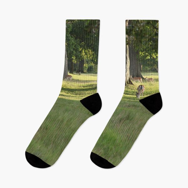 Item preview, Where she is you may go and look designed and sold by Murph's Images.