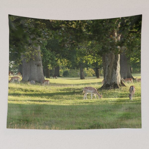 Item preview, Where she is you may go and look designed and sold by Murph's Images.