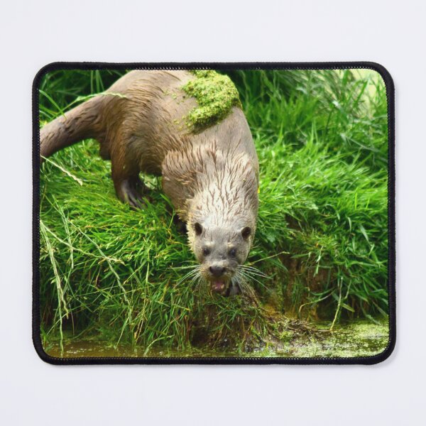Item preview, Angry Otter designed and sold by jeffborrer.