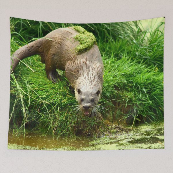 Item preview, Angry Otter designed and sold by jeffborrer.