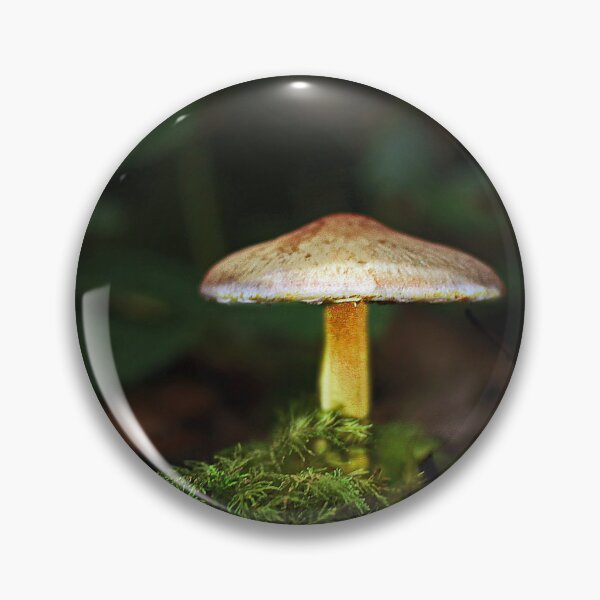 Item preview, illuminated toadstool designed and sold by Murph's Images.