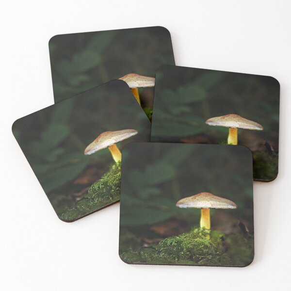 Item preview, illuminated toadstool designed and sold by Murph's Images.