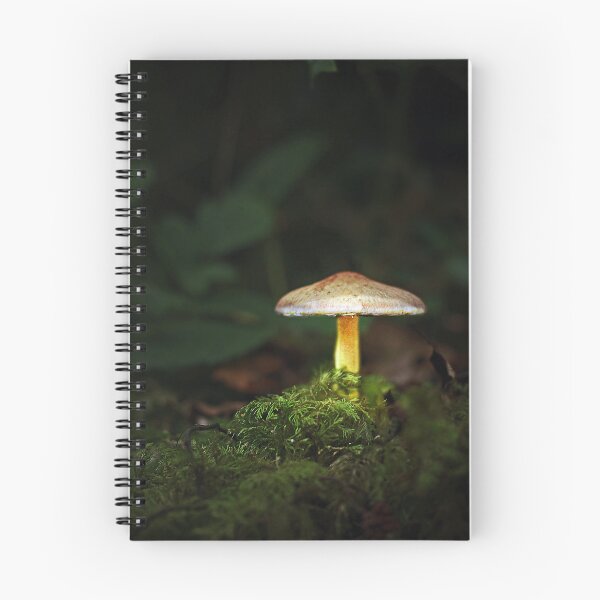 Item preview, illuminated toadstool designed and sold by Murph's Images.