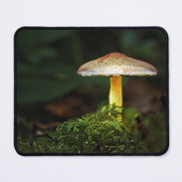 Item preview, illuminated toadstool designed and sold by Murph's Images.