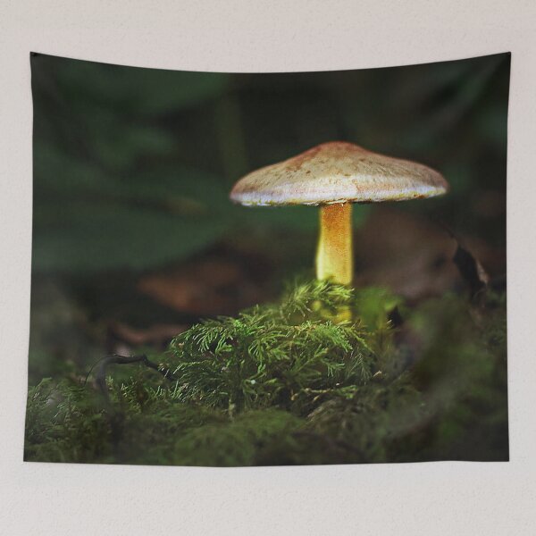 Item preview, illuminated toadstool designed and sold by Murph's Images.