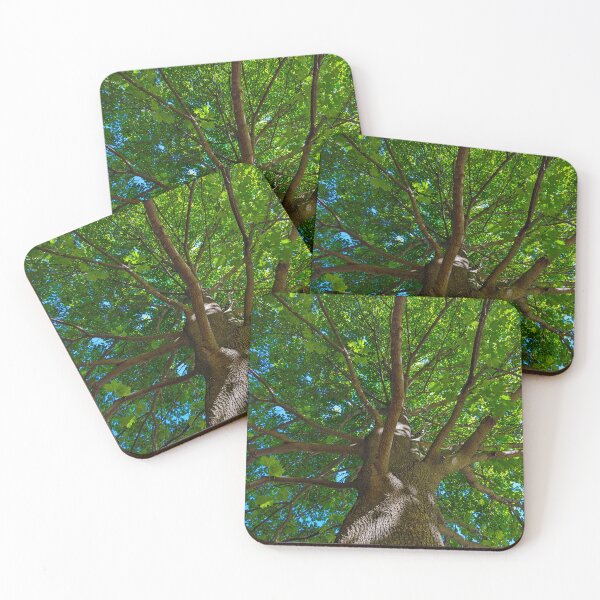 Item preview, Serenitree - A symbol of the calm and peaceful strength of nature designed and sold by 1024-Befoozally.