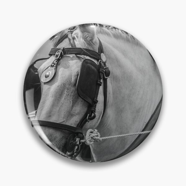 Item preview, Percheron Pride designed and sold by brynmelys.
