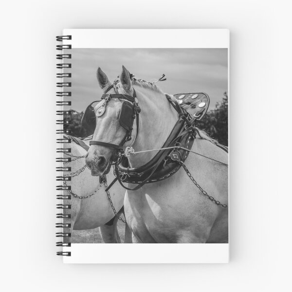 Item preview, Percheron Pride designed and sold by brynmelys.