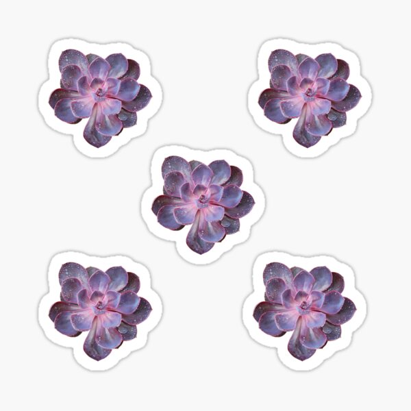 Purple Pearl (beige background) Sticker