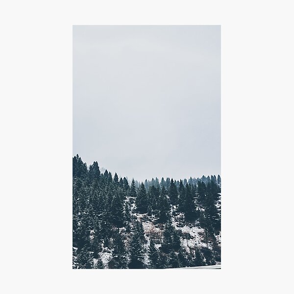 Item preview, Snowy Trees designed and sold by J+J Photography.