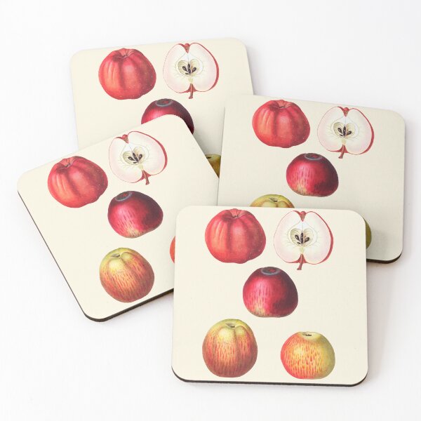 Item preview, Vintage Botanical Apple Illustration – Malus Communis Print designed and sold by Counter Signal.