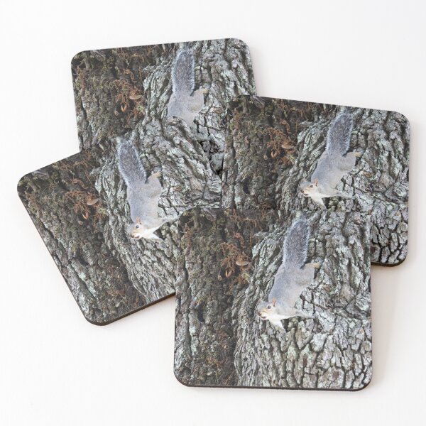 Item preview, Squirrel Climbing Down designed and sold by Cynthia48.