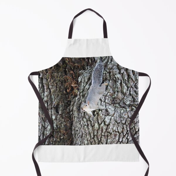 Item preview, Squirrel Climbing Down designed and sold by Cynthia48.