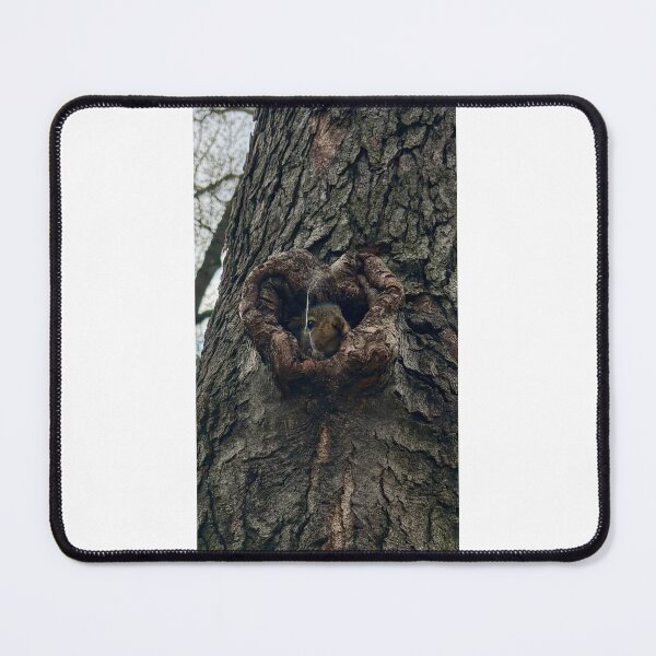 Item preview, The Squirrel in the Heart of the Tree designed and sold by Moleshavesouls.