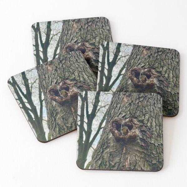 Item preview, The Squirrel in the Heart of the Tree designed and sold by Moleshavesouls.