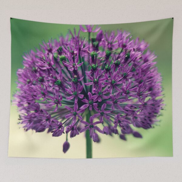 Item preview, Allium designed and sold by ElderIslesPress.