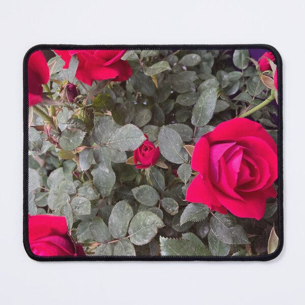 Item preview, rose blooms designed and sold by Sketchie ladys shop.