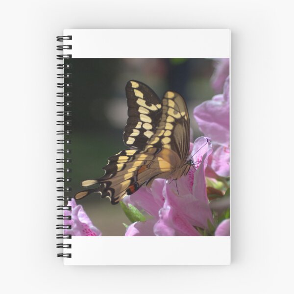 Item preview, Swallowtail at an Azalea designed and sold by Wishveil.