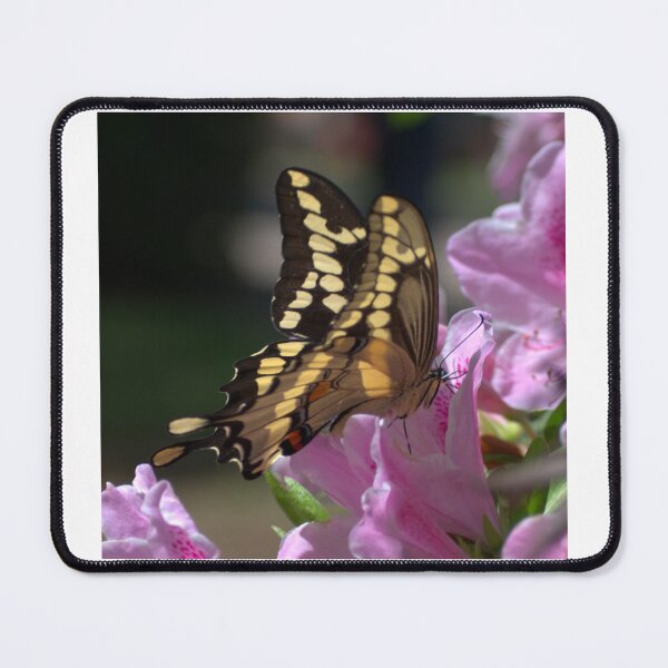 Item preview, Swallowtail at an Azalea designed and sold by Wishveil.
