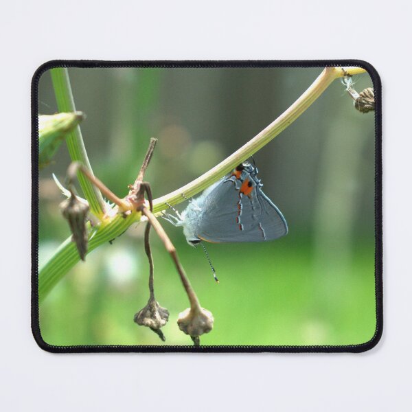 Item preview, Skipper Resting on a Stem designed and sold by Wishveil.