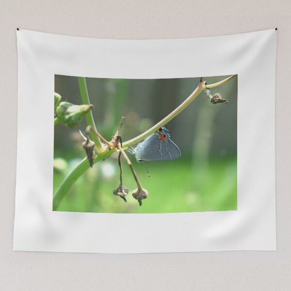 Item preview, Skipper Resting on a Stem designed and sold by Wishveil.