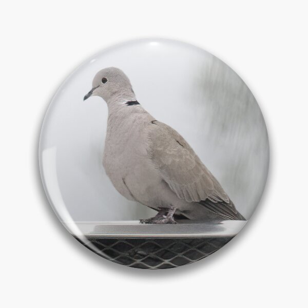 Item preview, Eurasian Collared Dove designed and sold by CarolM.