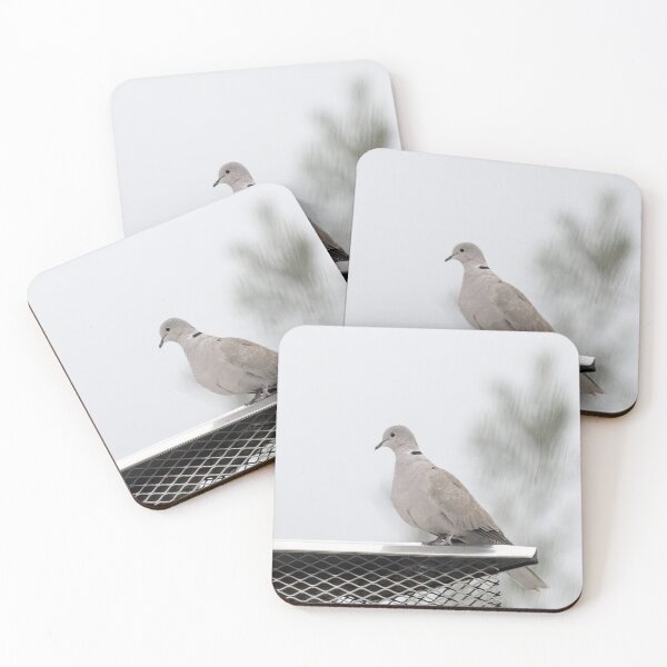 Item preview, Eurasian Collared Dove designed and sold by CarolM.