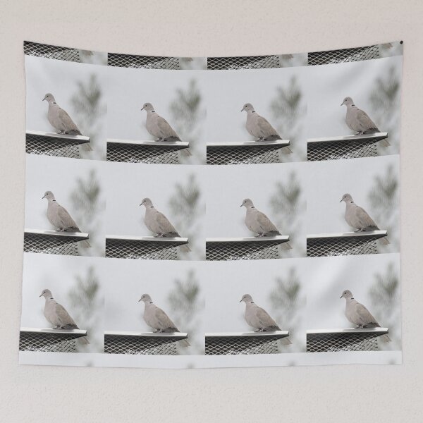 Item preview, Eurasian Collared Dove designed and sold by CarolM.