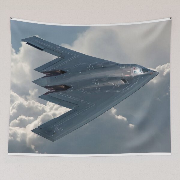 Item preview, B-2 Spirit designed and sold by sibosssr.