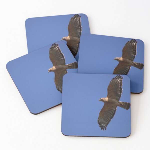 Item preview, Soar designed and sold by Birdgirlcreates.