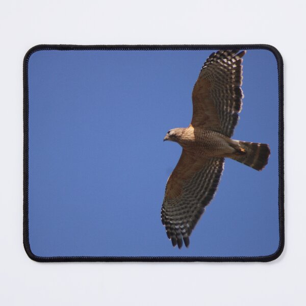 Item preview, Soar designed and sold by Birdgirlcreates.