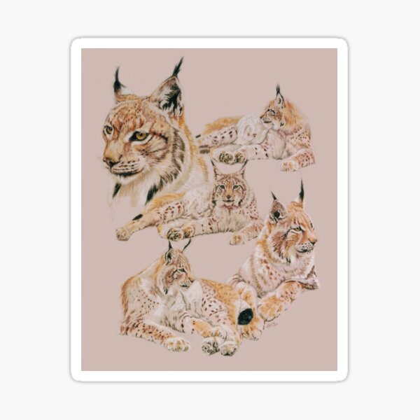 Iberian Lynx Collage Sticker