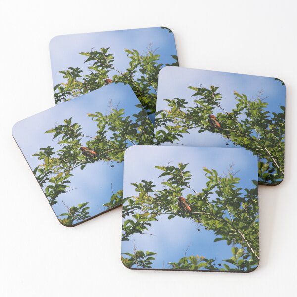 Item preview, Archway to birds designed and sold by Birdgirlcreates.