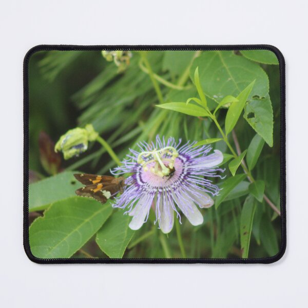 Item preview, Irresistible passion flower designed and sold by Birdgirlcreates.