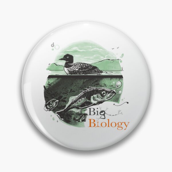 Item preview, Stickle-back to the future: experimental evolution in nature designed and sold by BigBiology.