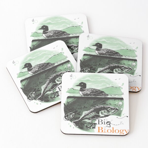 Item preview, Stickle-back to the future: experimental evolution in nature designed and sold by BigBiology.