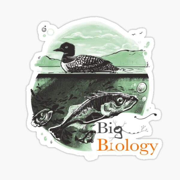 Item preview, Stickle-back to the future: experimental evolution in nature designed and sold by BigBiology.