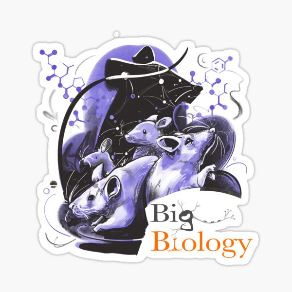 Item preview, Spiny, but social designed and sold by BigBiology.