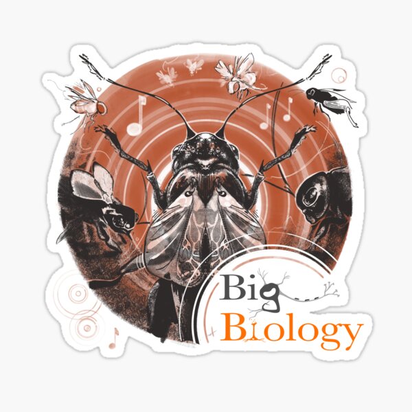 Item preview, A quiet place designed and sold by BigBiology.
