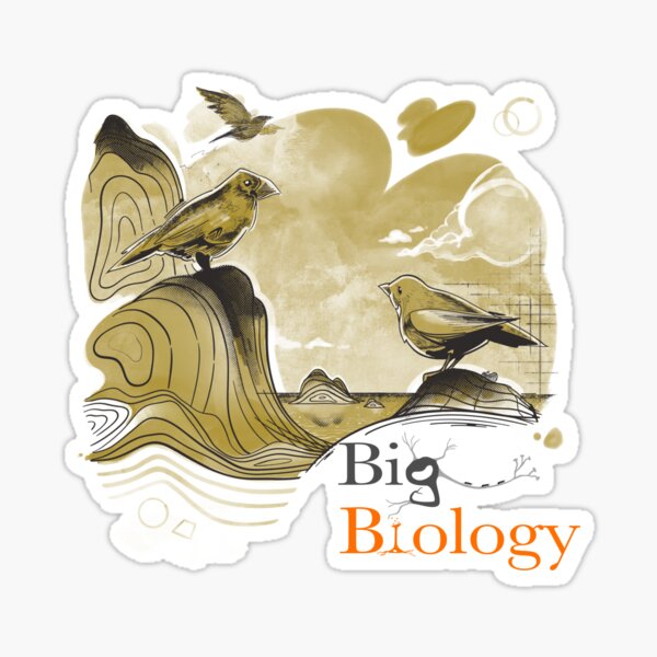 Item preview, Beaks on (fitness) peaks designed and sold by BigBiology.
