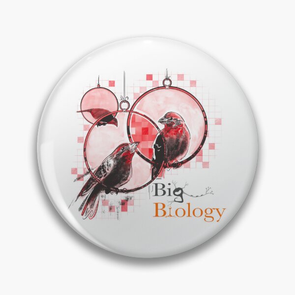 Item preview, Secrets in the structure designed and sold by BigBiology.