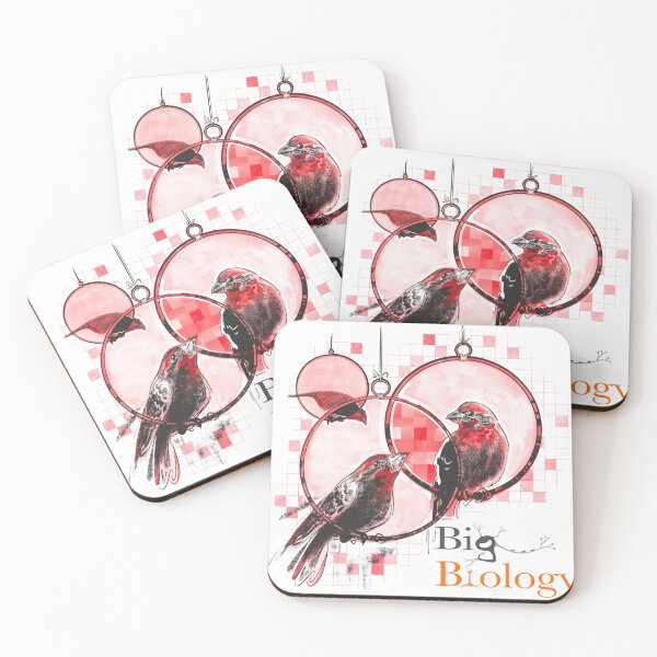 Item preview, Secrets in the structure designed and sold by BigBiology.