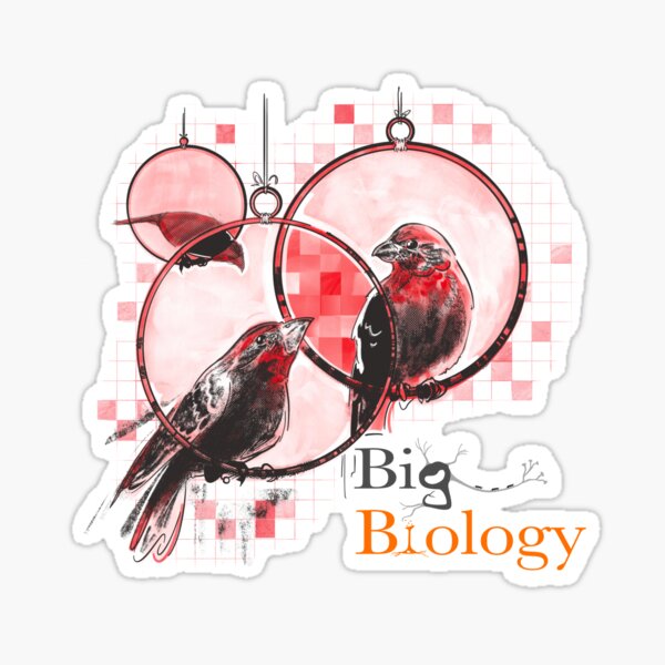 Item preview, Secrets in the structure designed and sold by BigBiology.