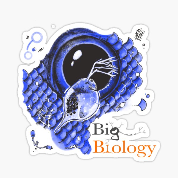 Item preview, Microplastics, macroproblems designed and sold by BigBiology.