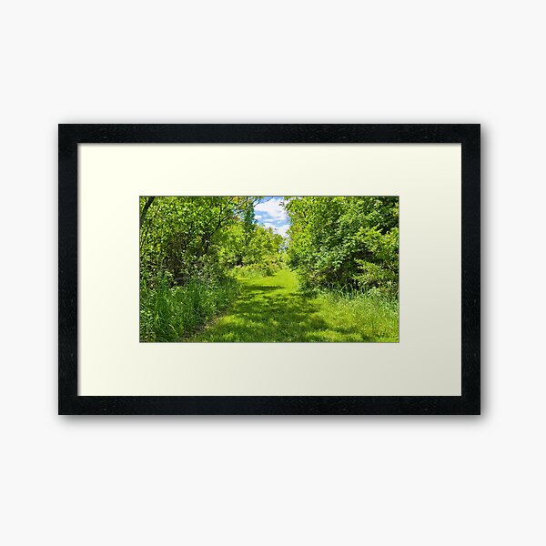 Item preview, The Green Path Ahead II designed and sold by Jkund19.